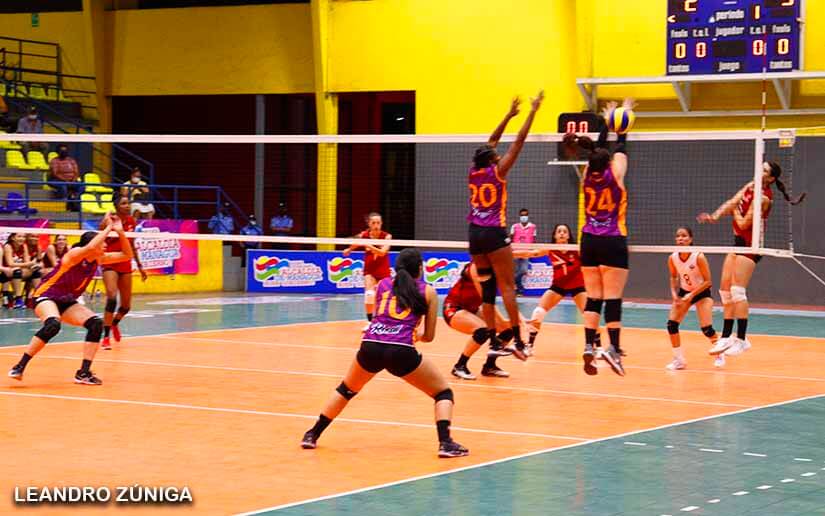torneo